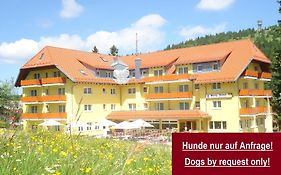 Burg Hotel Feldberg